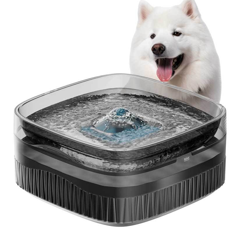 Pet fountain detail