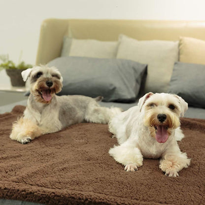 Two dogs on a chocolate brown fleece pet blanket