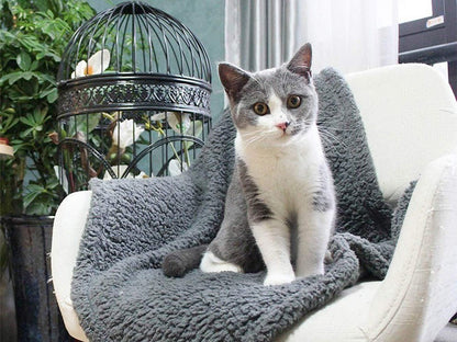 Cat sitting on a gray sherpa fleece pet blanket