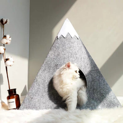 Cat resting in felt mountain cave