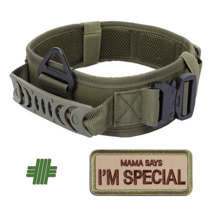 Ranger Reflective Military Dog Collar