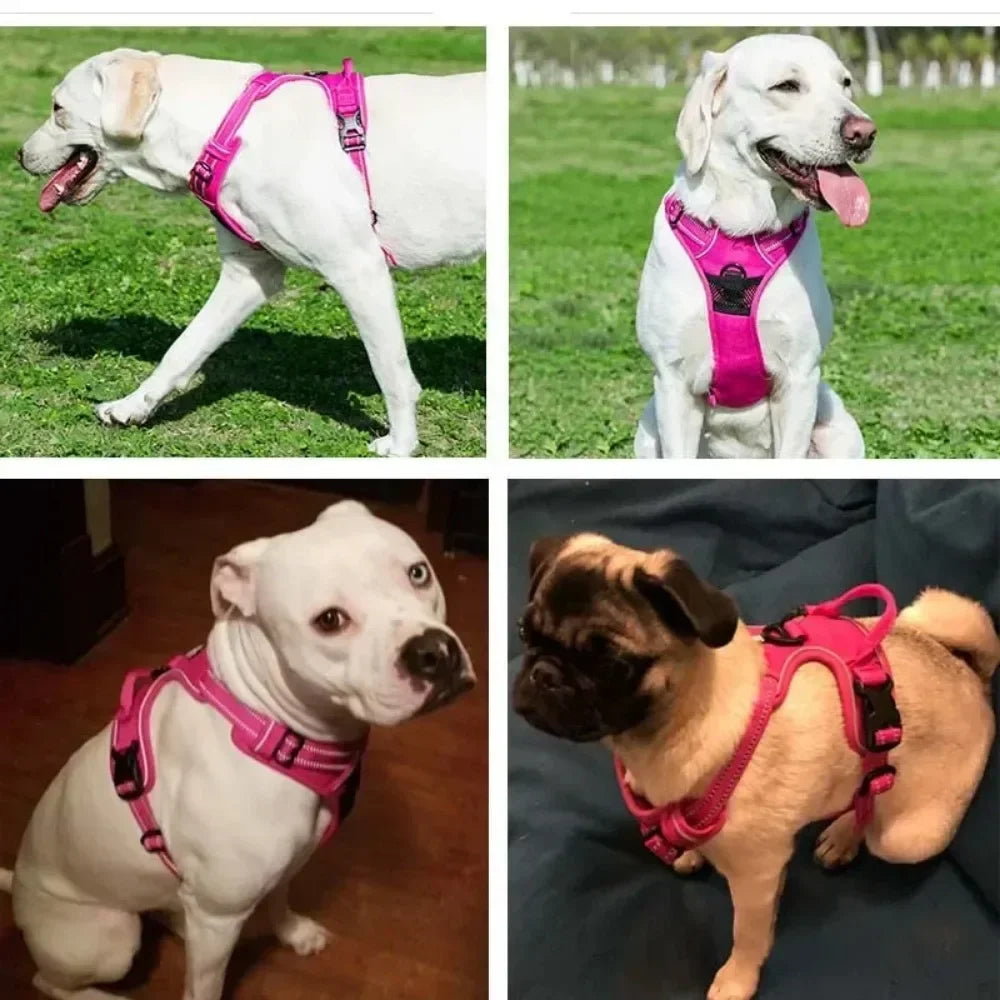 Breeze Reflective Dog Harness