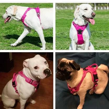 Breeze Reflective Dog Harness