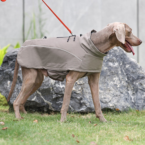Taupe soft shell dog jacket on a dog