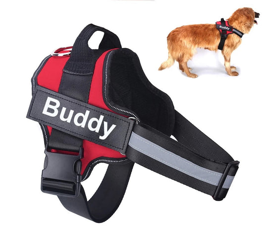 Fleecy personalized no-pull harness with name patch and reflective strap
